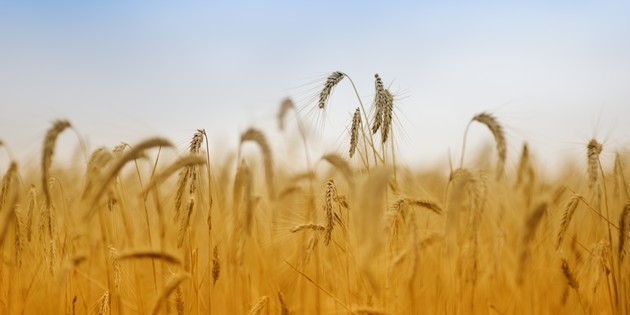 U-hjelp er plaster på såret