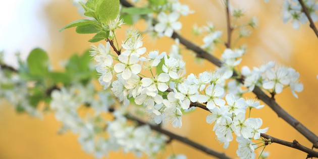 Timen kom og gikk og jeg ble ikke oversentimental